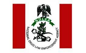 NDLEA Ranks and Salary Structure