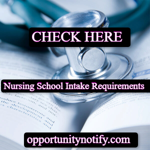 Tintswalo Hospital Nursing School Intake Requirements