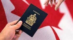 How to Apply for a Canadian Study Visa