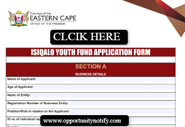 Isiqalo Youth Fund Application Form