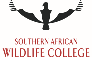 How to Apply for Southern African Wildlife College