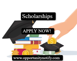 Barcelona University Scholarships