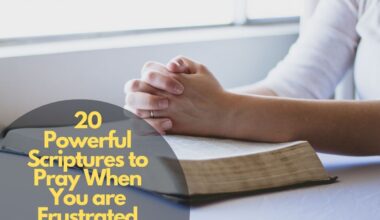 20 Powerful Scriptures to Pray When You are Frustrated