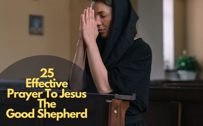 25 Effective Prayer To Jesus The Good Shepherd