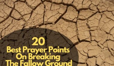 Best Prayer Points on Breaking The Fallow Ground