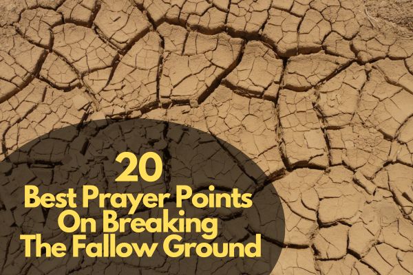 Best Prayer Points on Breaking The Fallow Ground