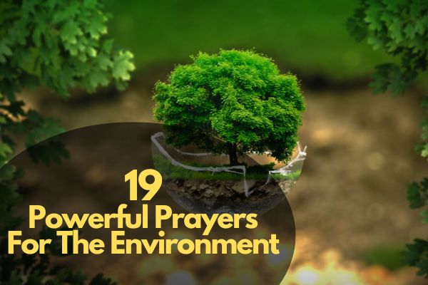 Powerful Prayers For The Environment