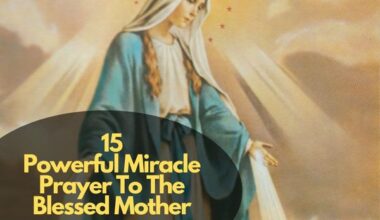 Miracle Prayer To The Blessed Mother