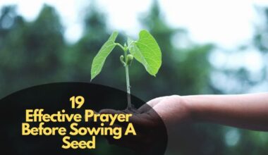 Prayer Before Sowing A Seed