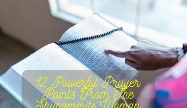 Prayer Points From The Shunammite Woman